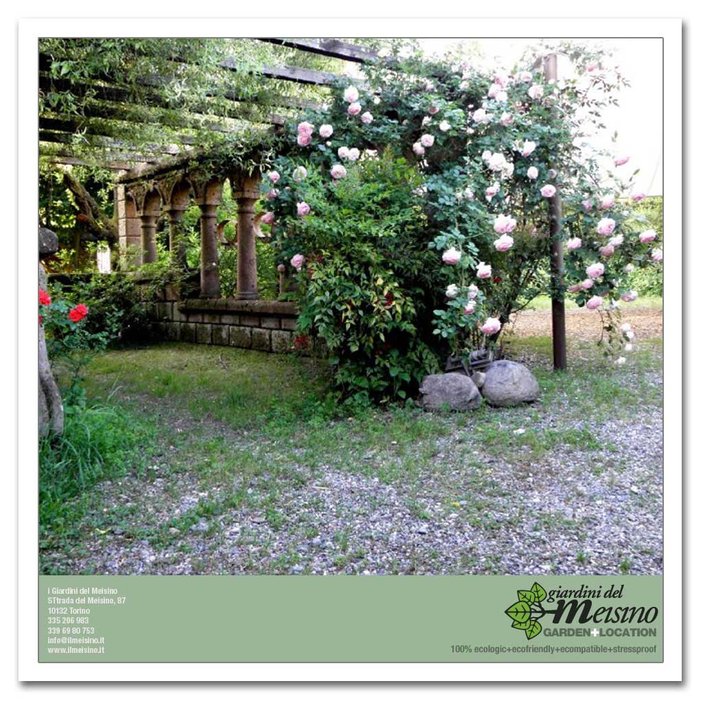 giardini meisino location torino 186